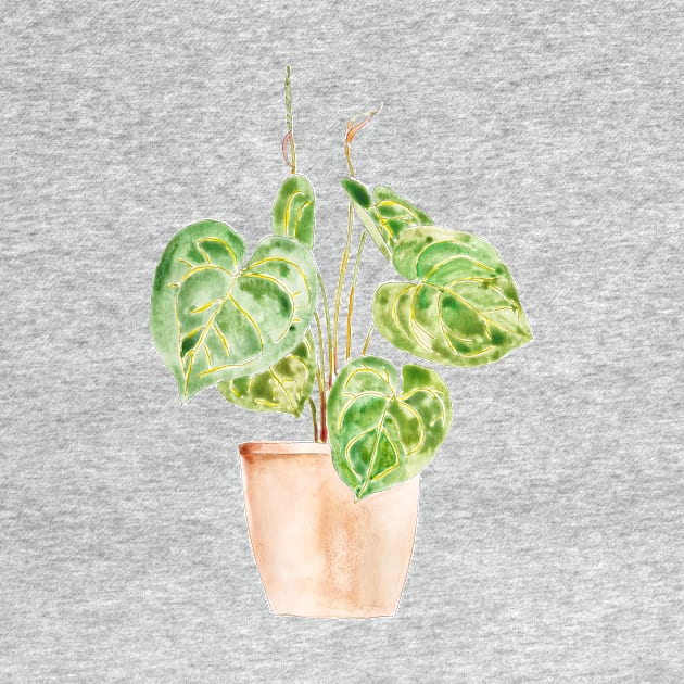 green indoor plant watercolor 1 by colorandcolor